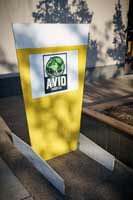 Avid Cider